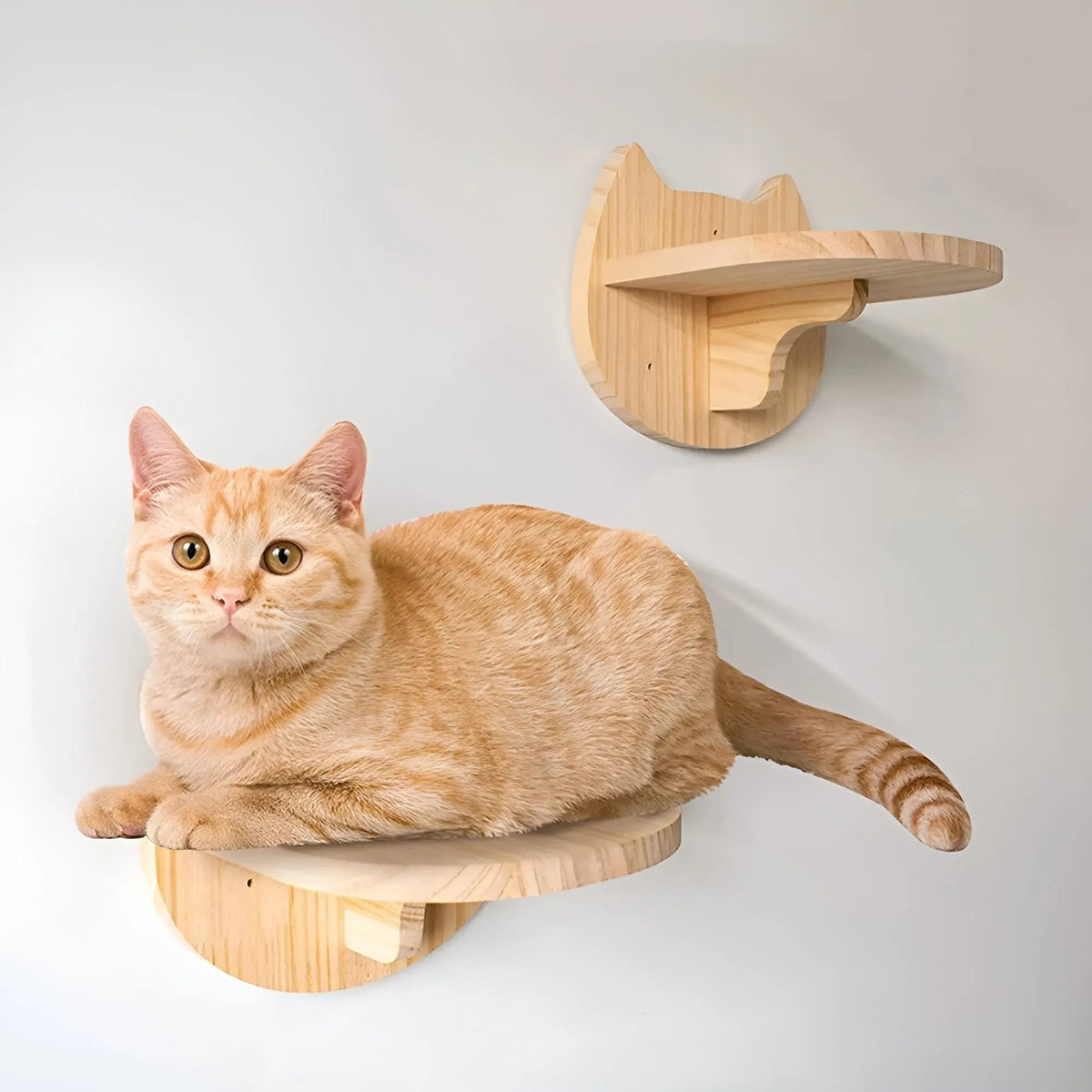 Klövmöbel till katter med klöspelare