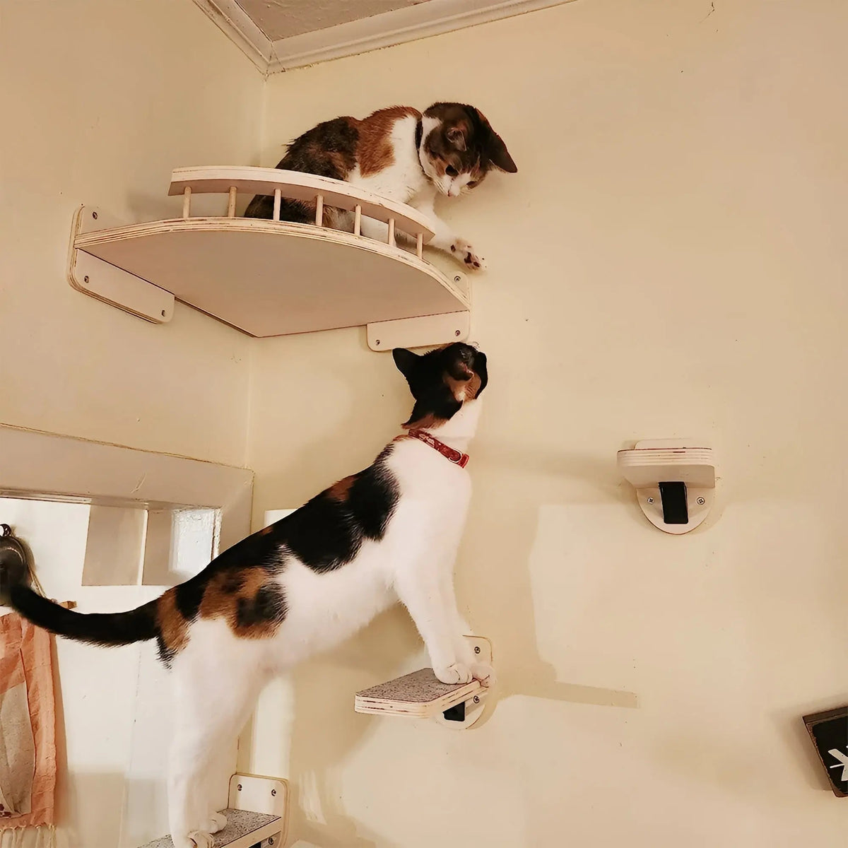 Klövmöbel till katter med klöspelare