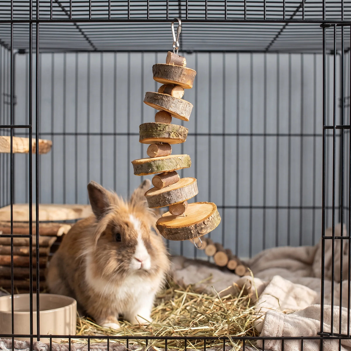 Naturligt Snack Legetøj til Smådyr - BiteBranch