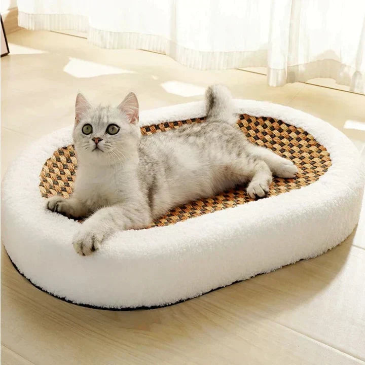 Kattrivning med komfort – PurrLuxe