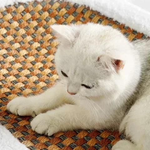Kattrivning med komfort – PurrLuxe