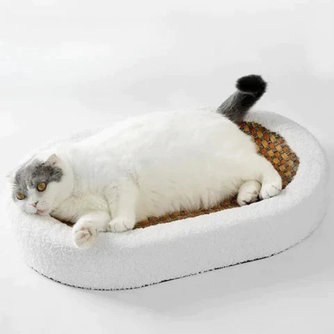 Kattrivning med komfort – PurrLuxe