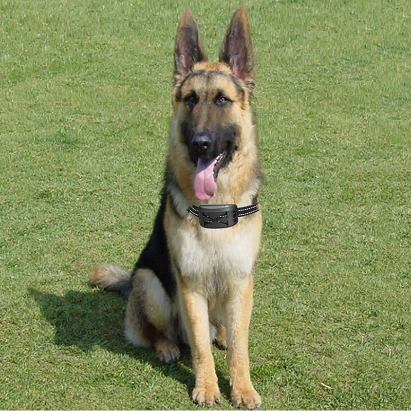 Trådløst hundegårdssystem med justerbar rækkevidde til sikker træning