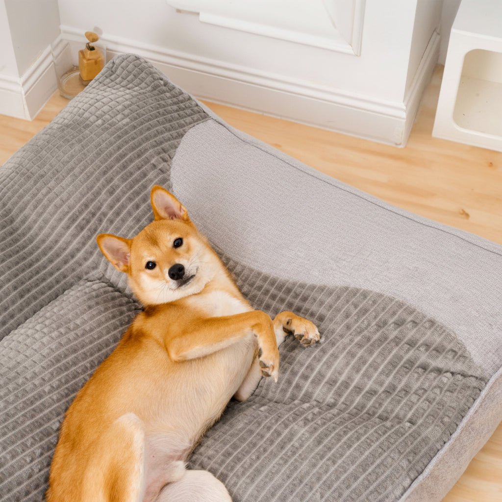 Stor Hundeseng med Høj Kantsupport for Bedre Søvn