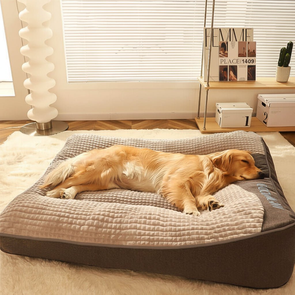 Stor Hundeseng med Høj Kantsupport for Bedre Søvn