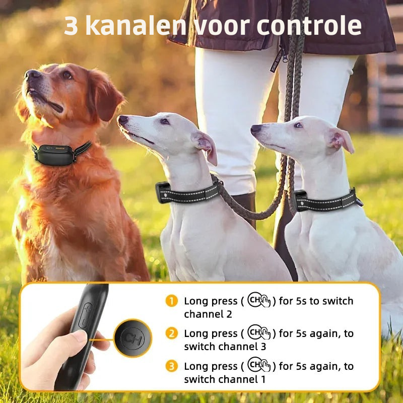 SmartDog – Genopladeligt og vandtæt hundetræningshalsbånd