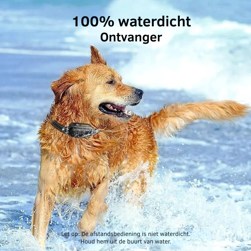 SmartDog – Genopladeligt og vandtæt hundetræningshalsbånd