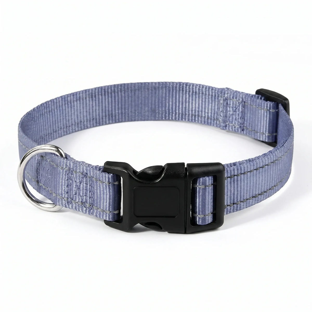 Reflekterande hundhalsband - säkerhet och synlighet