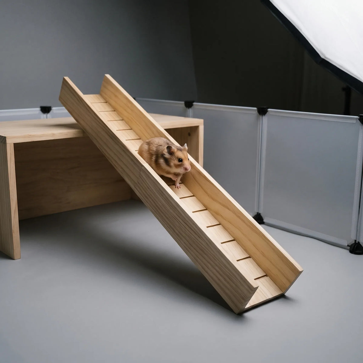 Stark Ramp för Små Djur - Klätterramp