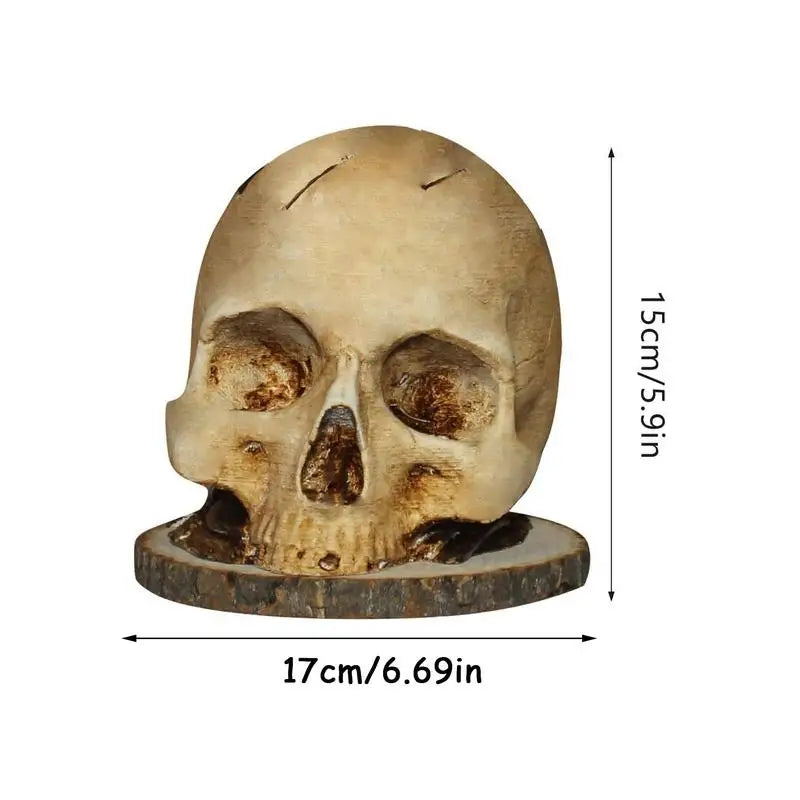 Gothic Skull Kniv Organizer Holder