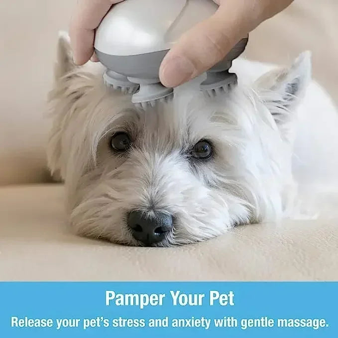 Electric Relax Kat Massager