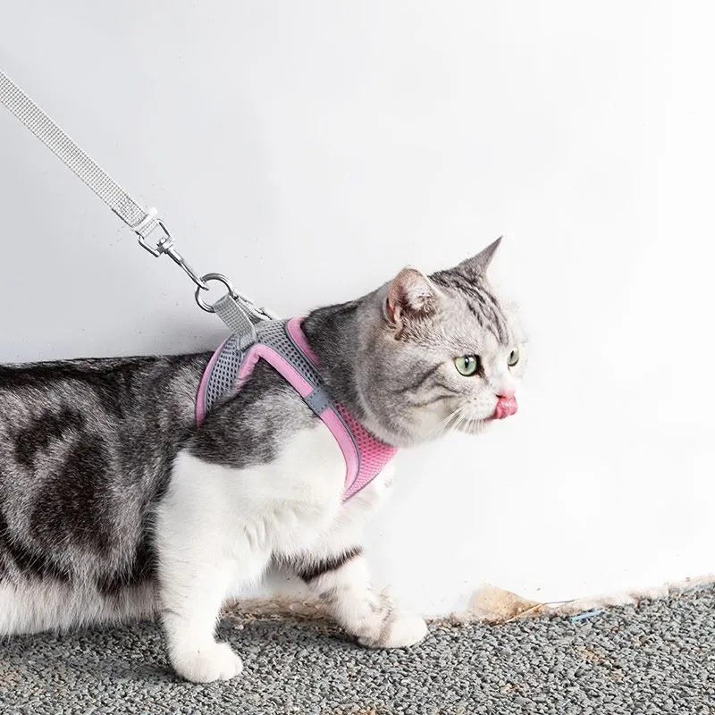 Justerbart katteharness med snor – komfortabel og sikker løsning
