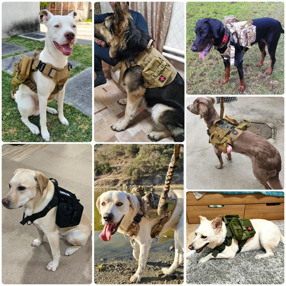 Militärstil Hundesele och Träningskoppel för Stora Raser