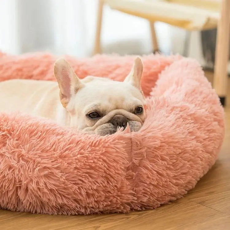 Læg til rette: Lang pels seng til hunde og katte - Vaskbar hundesofa