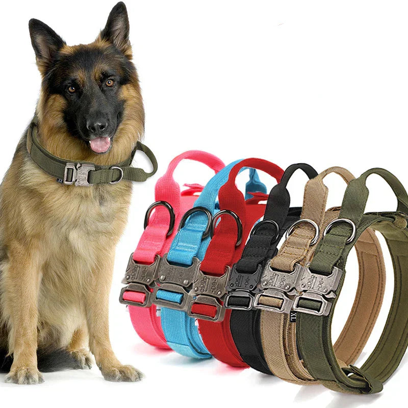 Reflekterande hundhalsband och koppel för träning och säkerhet