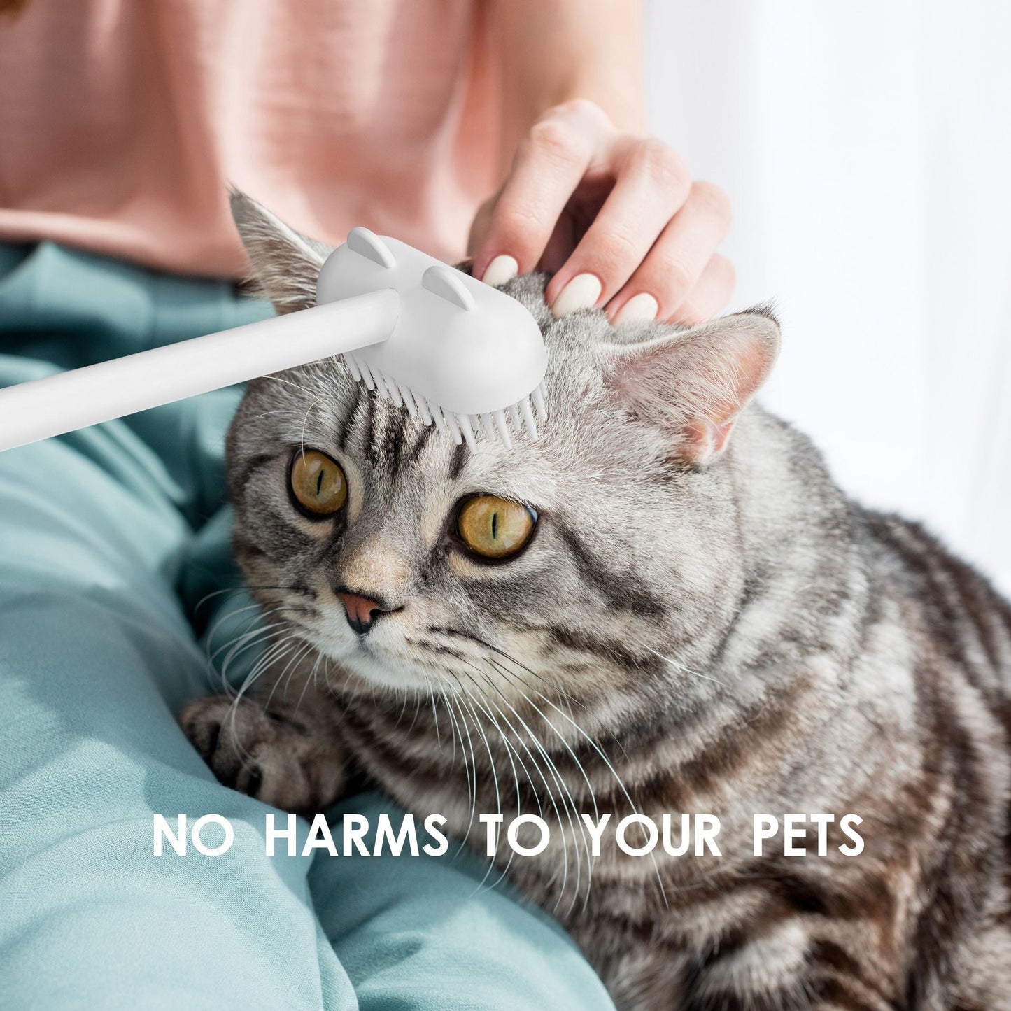 Massagerande kattborste