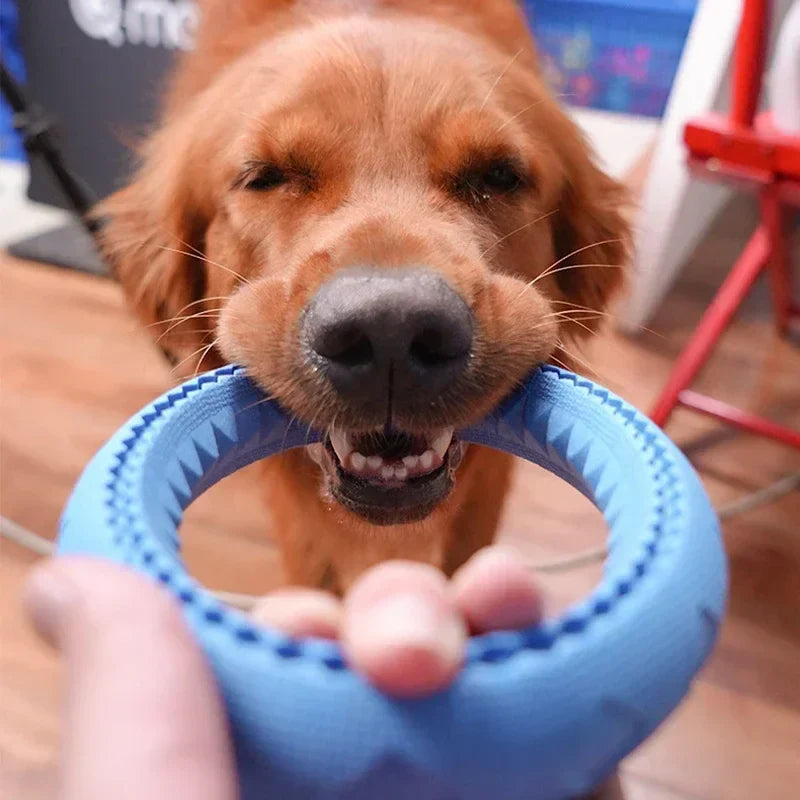 Holdbart Kastelegetøj til Hunde – Perfekt til Leg & Træning
