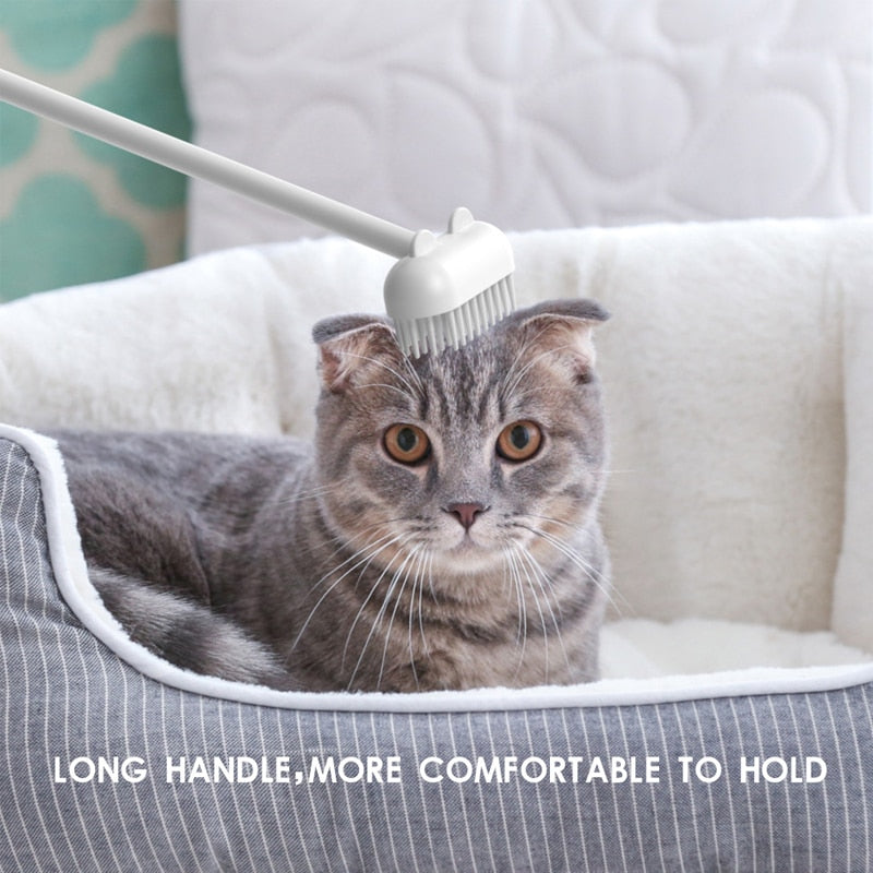 Massagerande kattborste