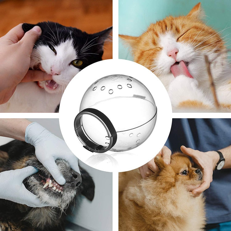 Kattvård Anti-bett Huvudskydd