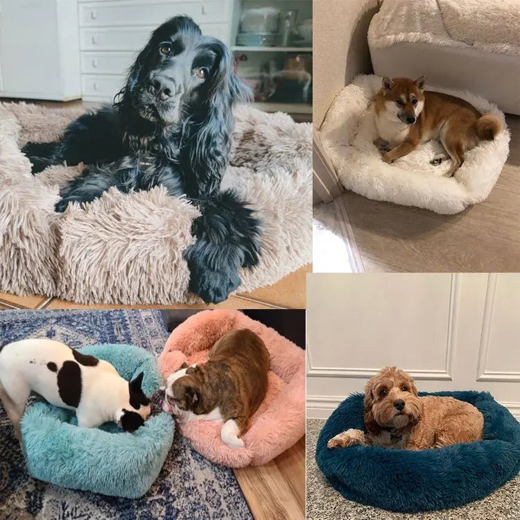 Læg til rette: Lang pels seng til hunde og katte - Vaskbar hundesofa