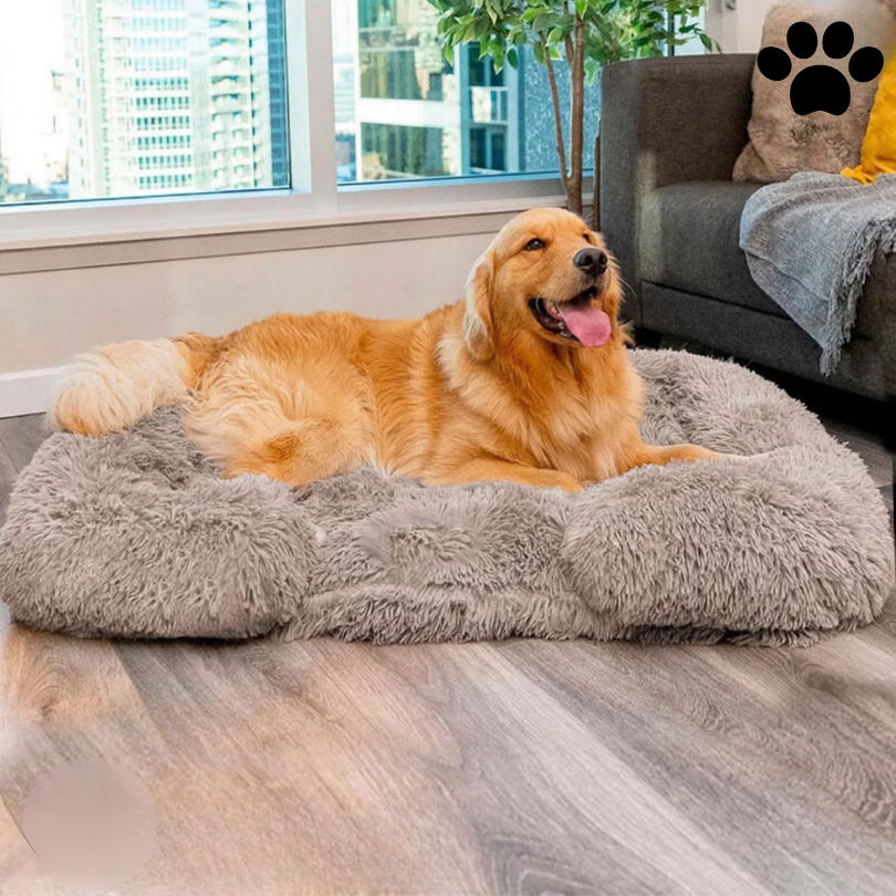 Beroligende Hundeseng med Memory Skum - Sovekomfort