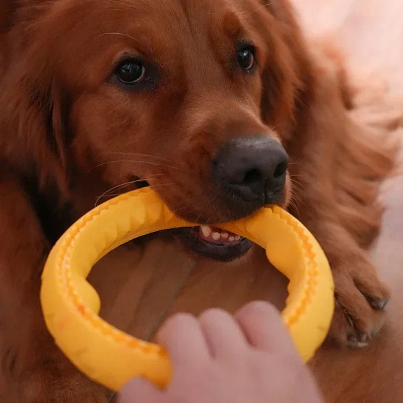 Holdbart Kastelegetøj til Hunde – Perfekt til Leg & Træning