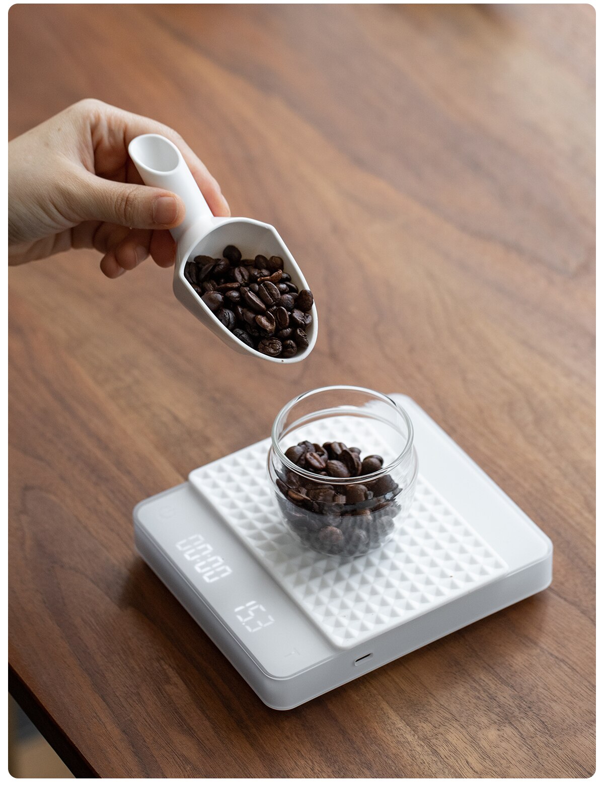 Mini kaffemåttslev