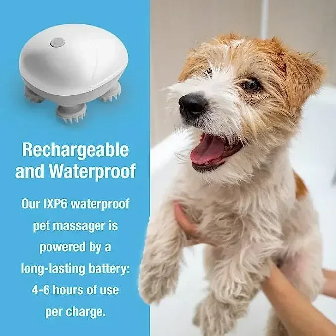 Electric Relax Kat Massager