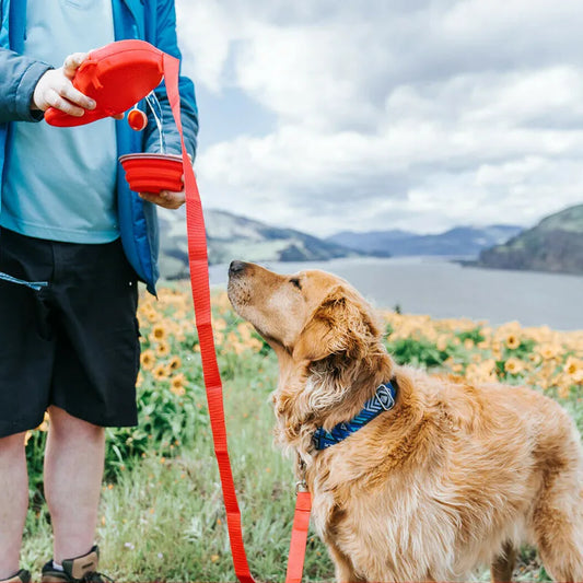 SmartPaw Kombinationskoppel | Bekvämt koppel med vattenflaska, avfallspåse och hopfällbar skål