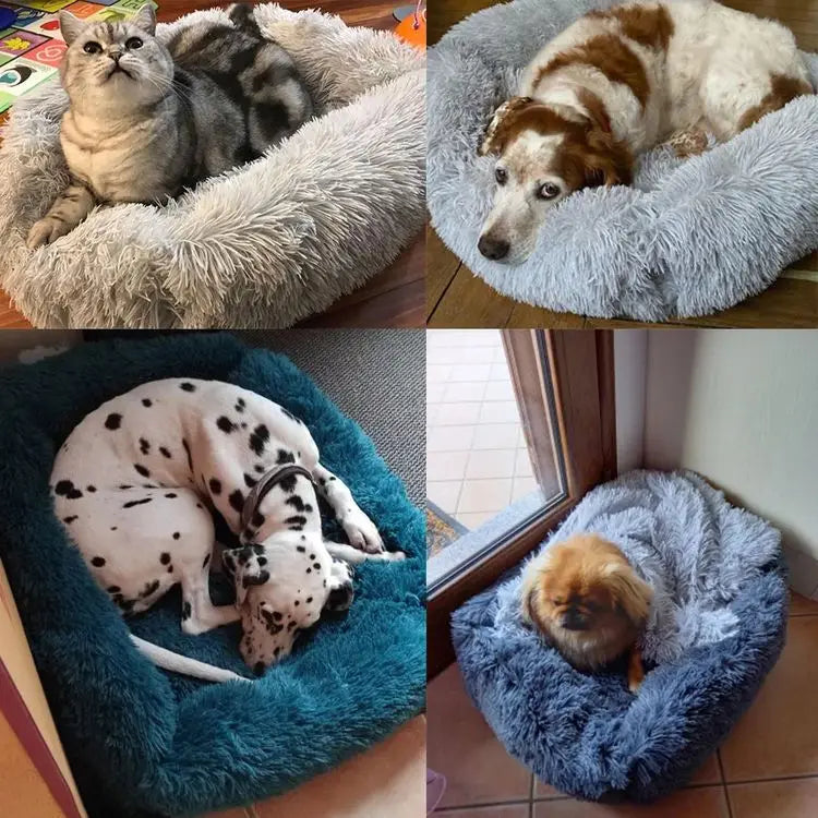 Læg til rette: Lang pels seng til hunde og katte - Vaskbar hundesofa