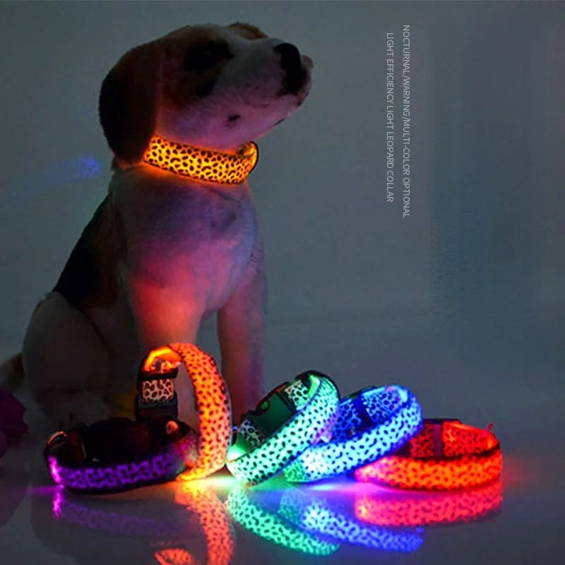 LED Hundehalsbånd NightGlow – Gå sikkert og bliv set med lys