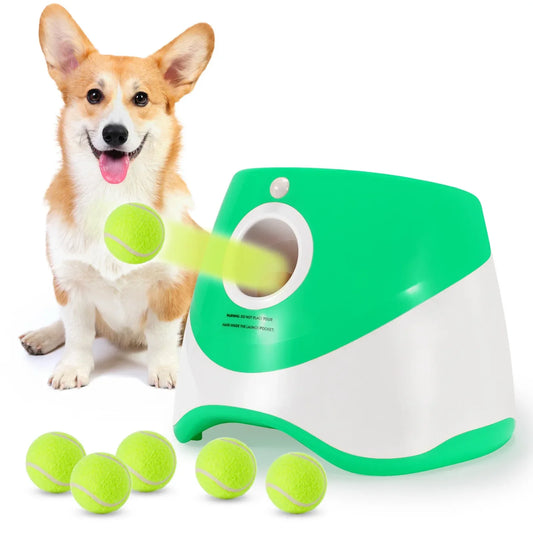 Pet Interaktiv Automatisk Bold Kaster