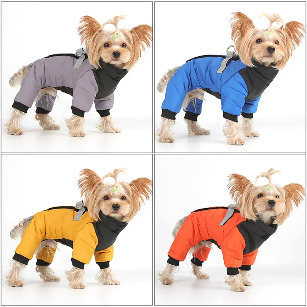 Vinterfrakke til Små og Mellemstore Hunde - Vandtæt med Sele