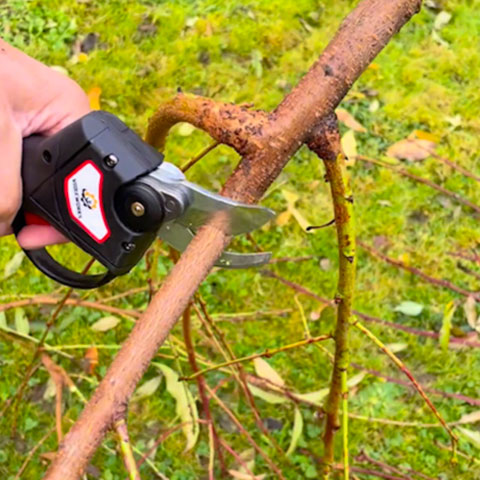 Trådløs Elektrisk Sakse – Skånsom og Langtidsholdbar Klipning
