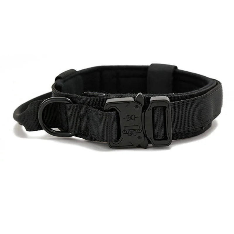 Reflekterande hundhalsband och koppel för träning och säkerhet
