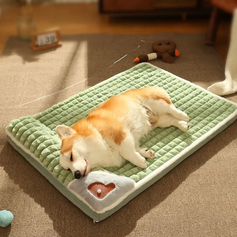 Lyxig djurfilt: Komfort och stil för din hund eller katt