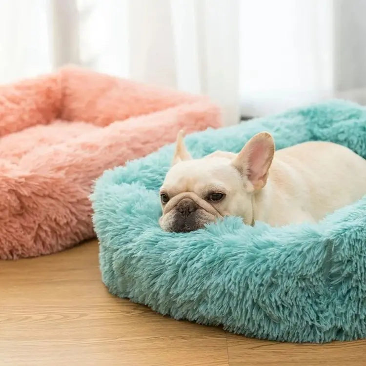 Læg til rette: Lang pels seng til hunde og katte - Vaskbar hundesofa