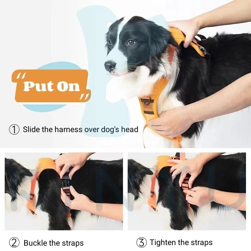 No-Pull Justerbar Komfortabel Hundesnor Seler