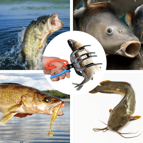 Fisketång i metall för att kontrollera fångst