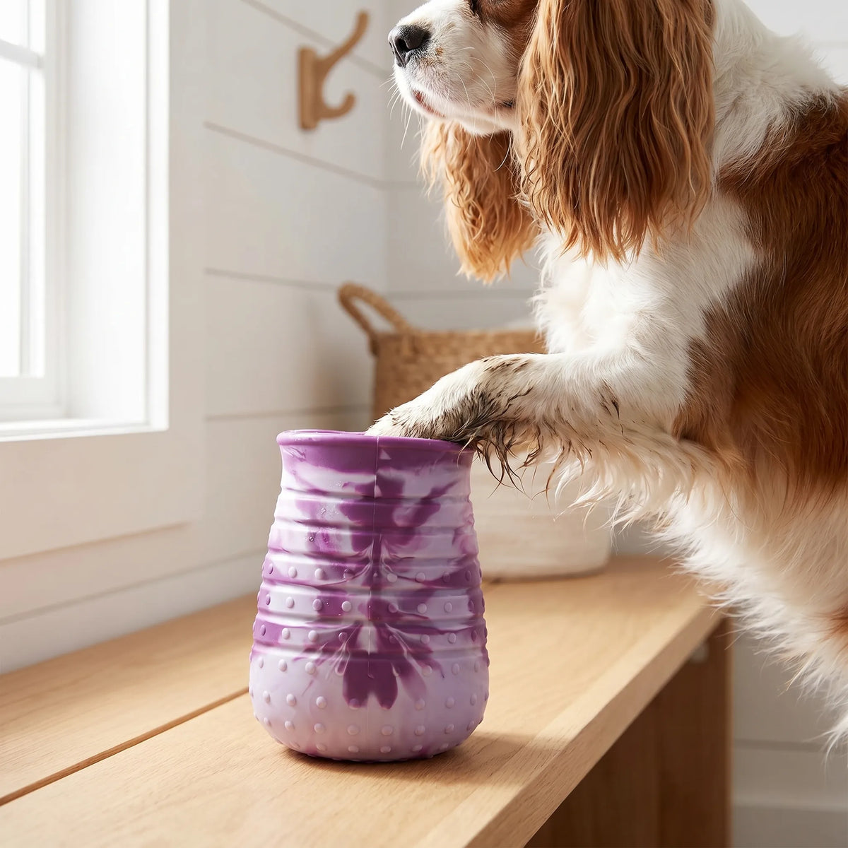 Bærbar hundepote vaskebeholder - PawWashCup