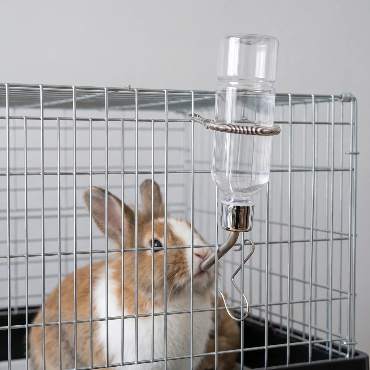 Gennemsigtig Drikkeflaske til Små Dyr - PetSip