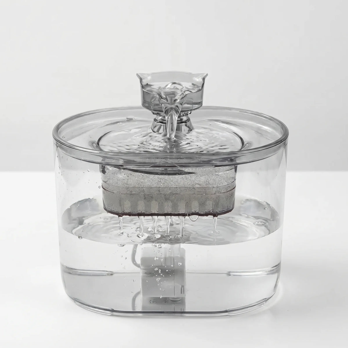 Gennemsigtigt kattebrønd - Tailflow