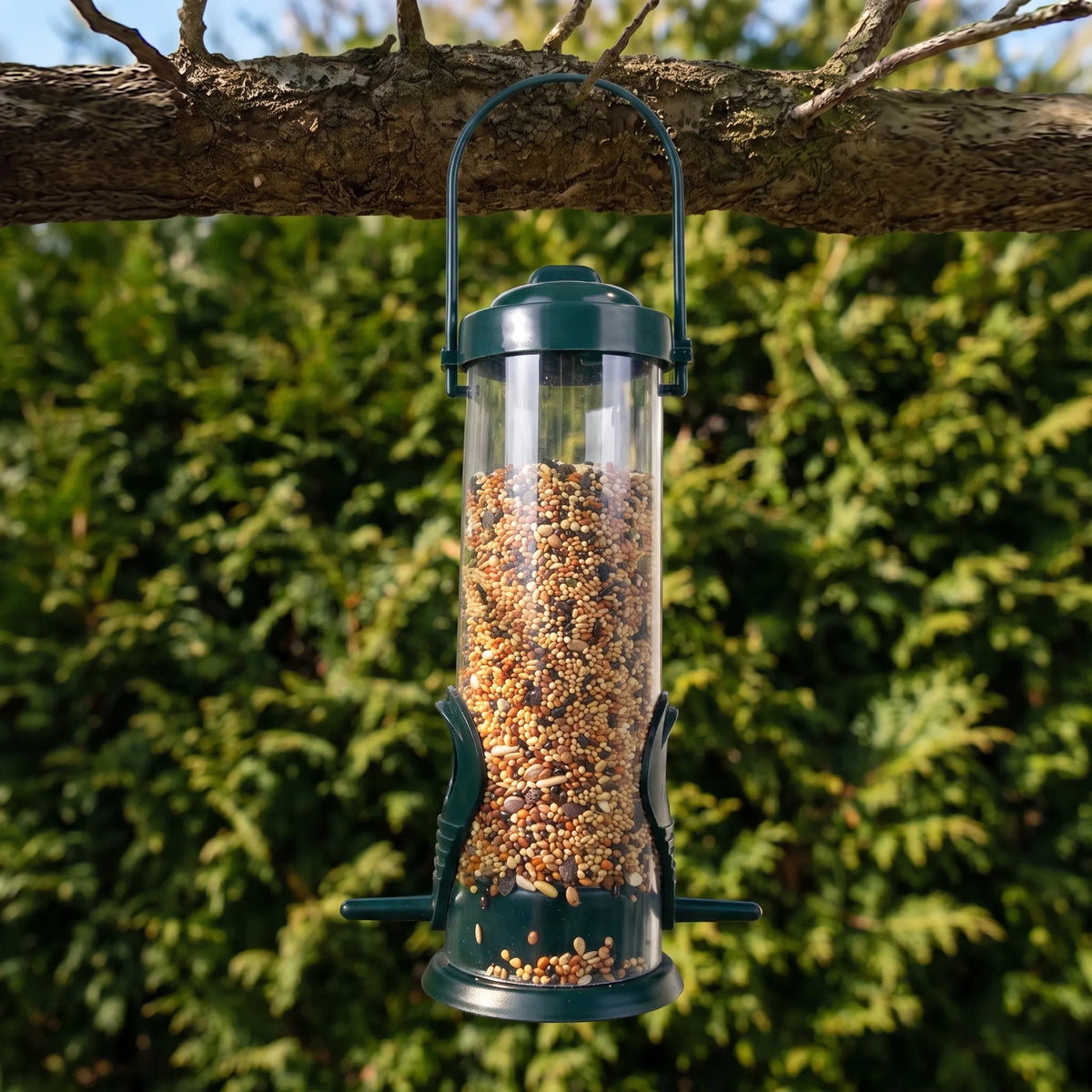 Gennemsigtig rørformet fuglefoderdispenser