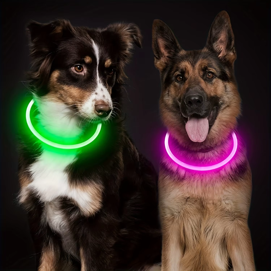 GlowSafe LED Hundhalsband – Uppladdningsbart USB Säkerhetsljus