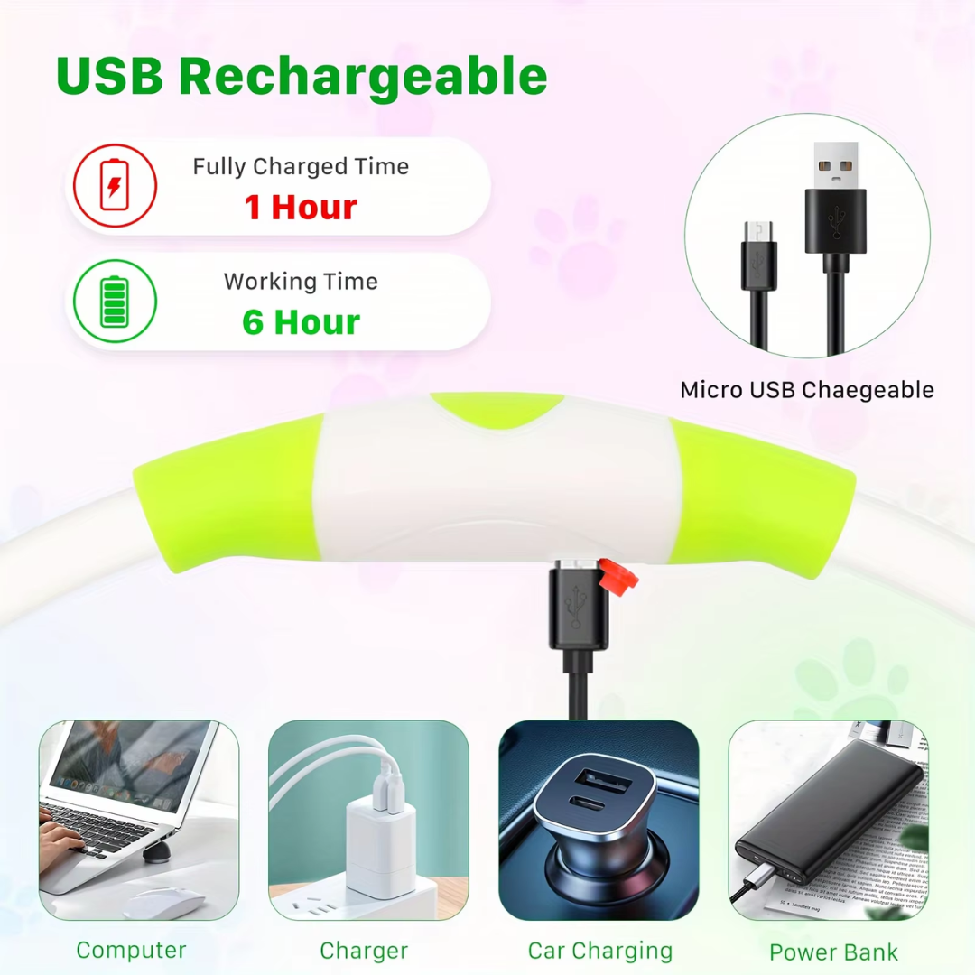 GlowSafe LED Hundhalsband – Uppladdningsbart USB Säkerhetsljus