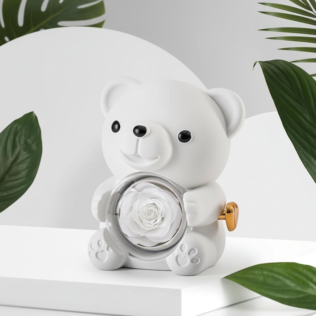 Romantisk Bamse med Evighedsrose og Hjertehalskæde Gave