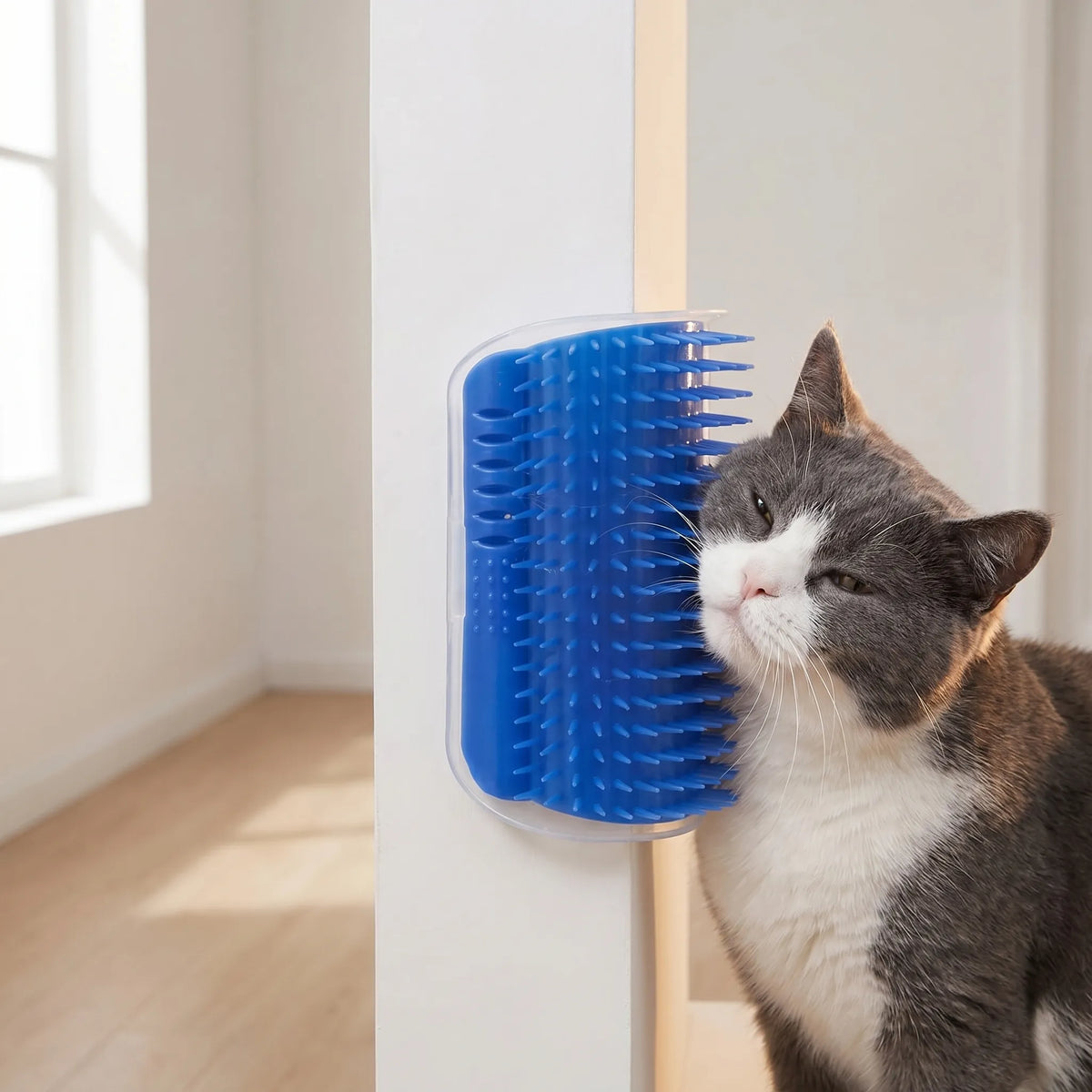 Vægmonteret Massagebørste til Katte - Vaskebørste