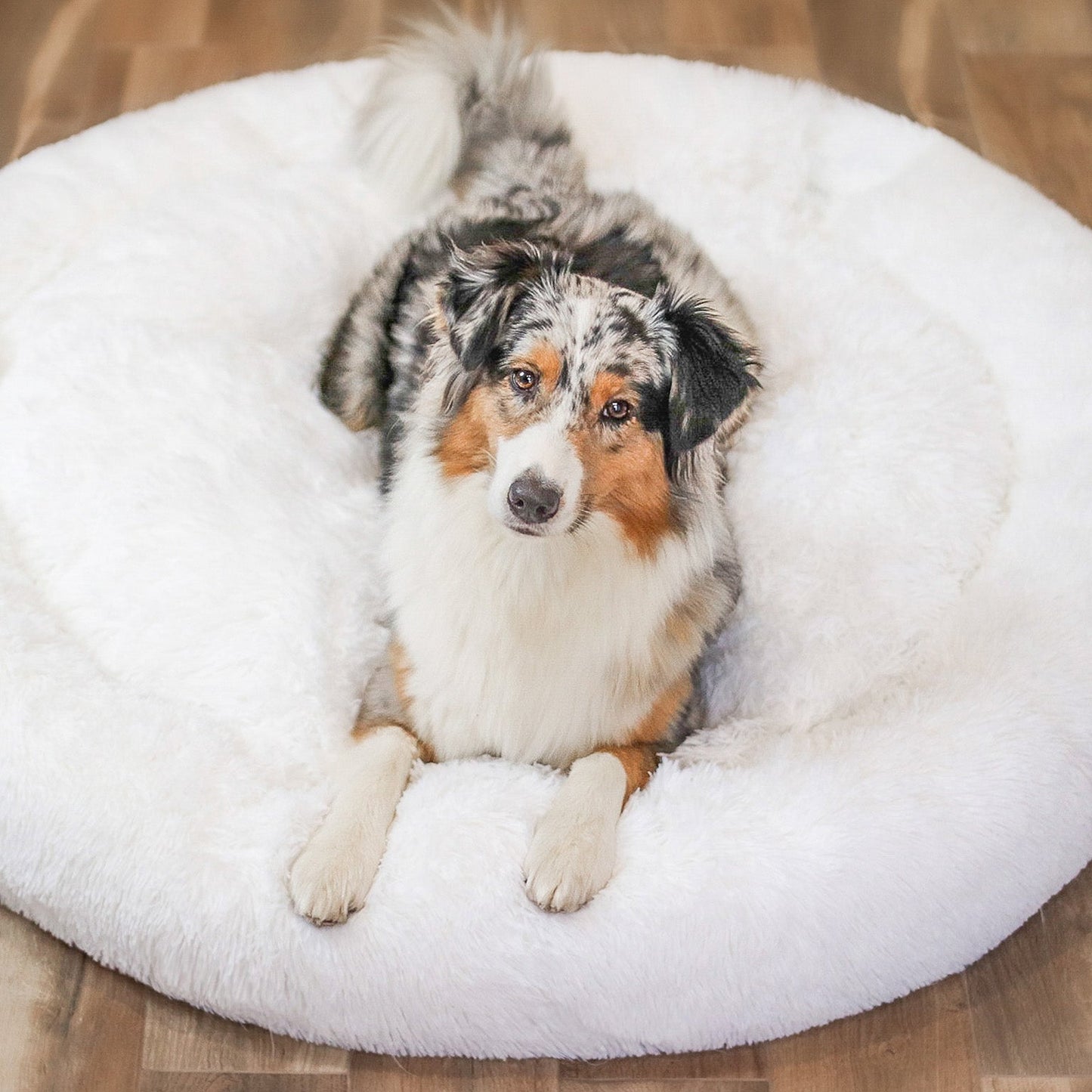 Fluffy Plus Hundeseng – Den Ægte