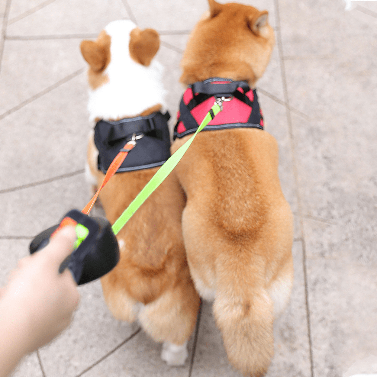 Dubbelt Hundkoppel med Ficklampa och Reflexdetaljer