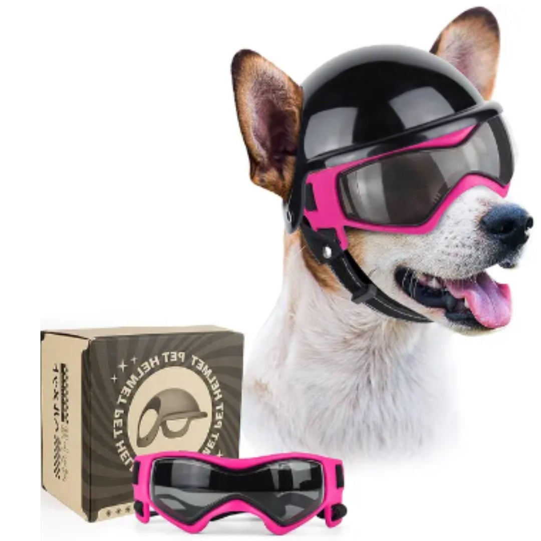 Hundglasögon och hjälpmedel - RiderPaw